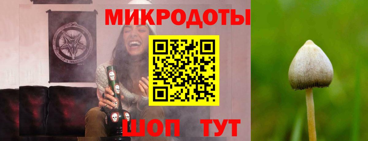 Псилоцибиновые грибы мухоморы  Псилоцибиновые грибы MAGIC MUSHROOMS  Краснокаменск  Вход с VPN 